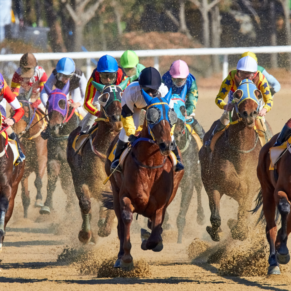 149th Kentucky Derby Odds Dynes Pressbox