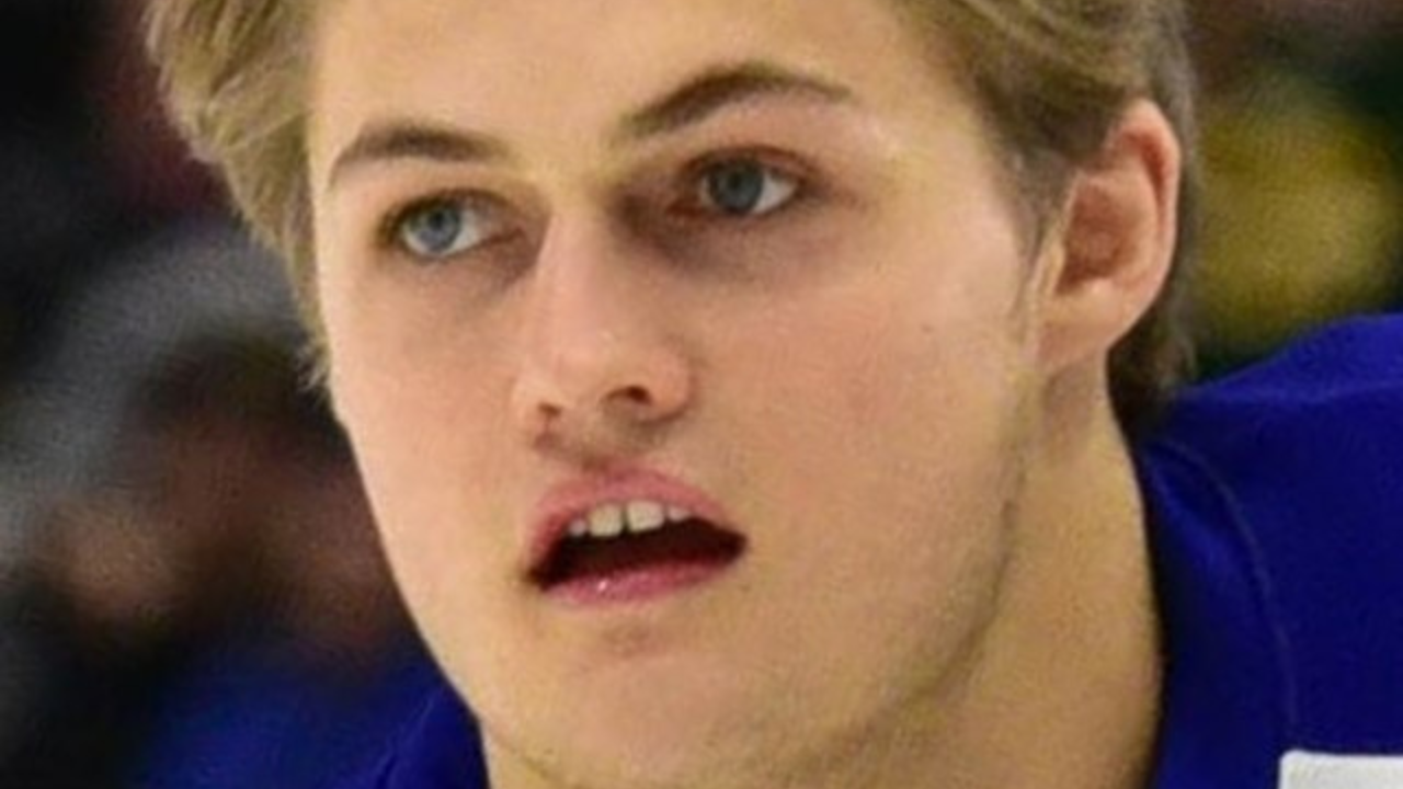 Toronto Maple Leafs sign William Nylander to 8 year extension