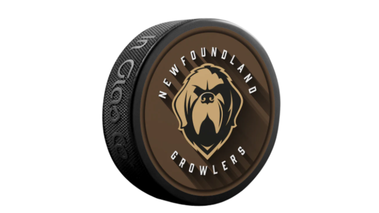 ECHL Newfoundland Growlers cease operations