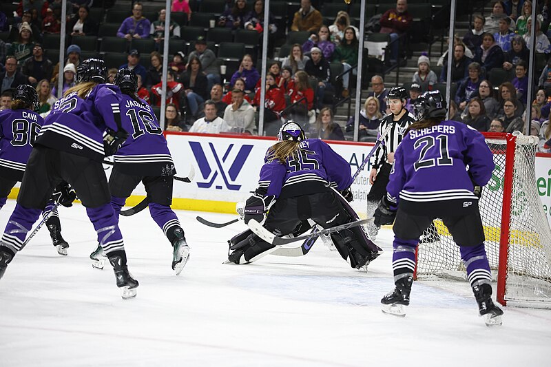 Minnesota Wins Inaugural PWHL Championship