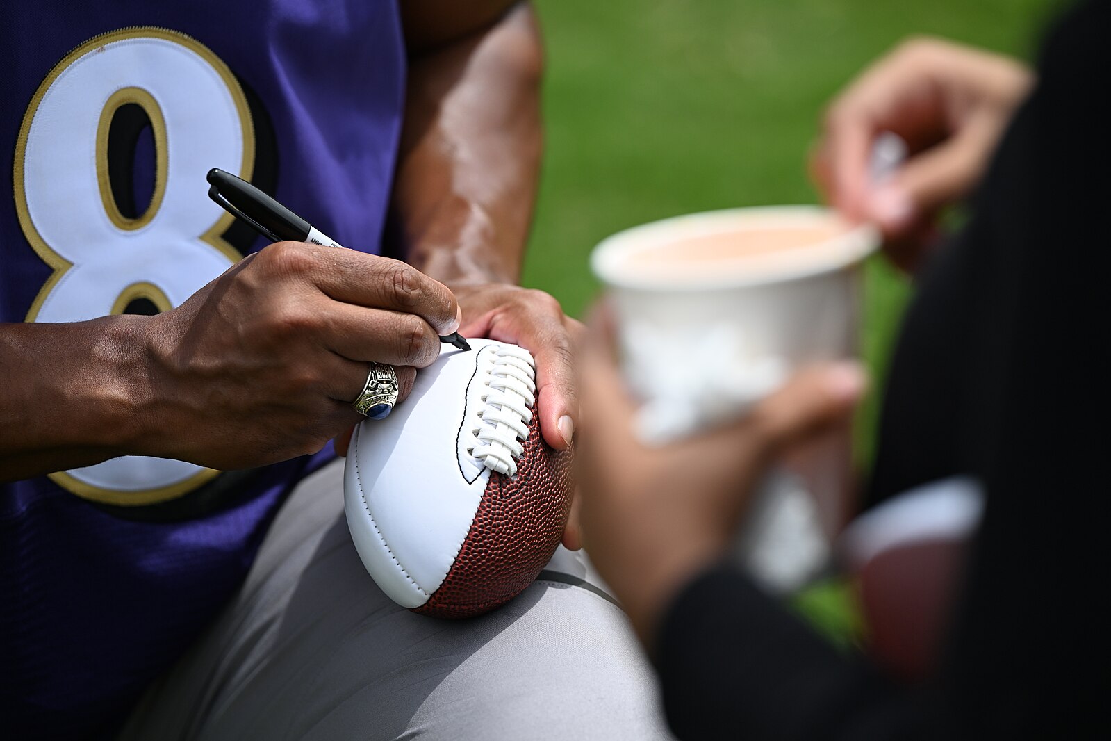 Baltimore Ravens Training Camp Updates