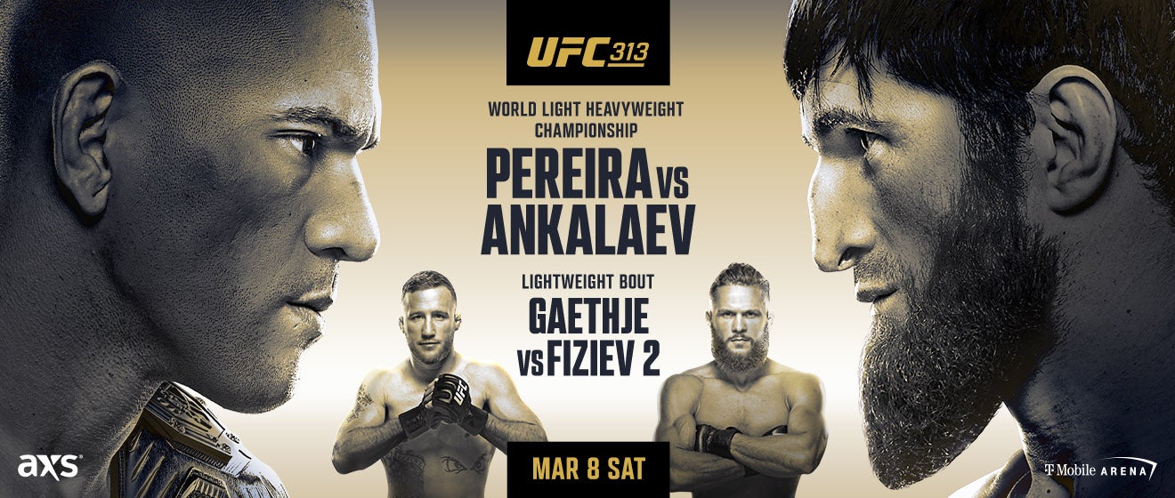 UFC 313: Pereira vs Ankalaev - Full Card Analysis