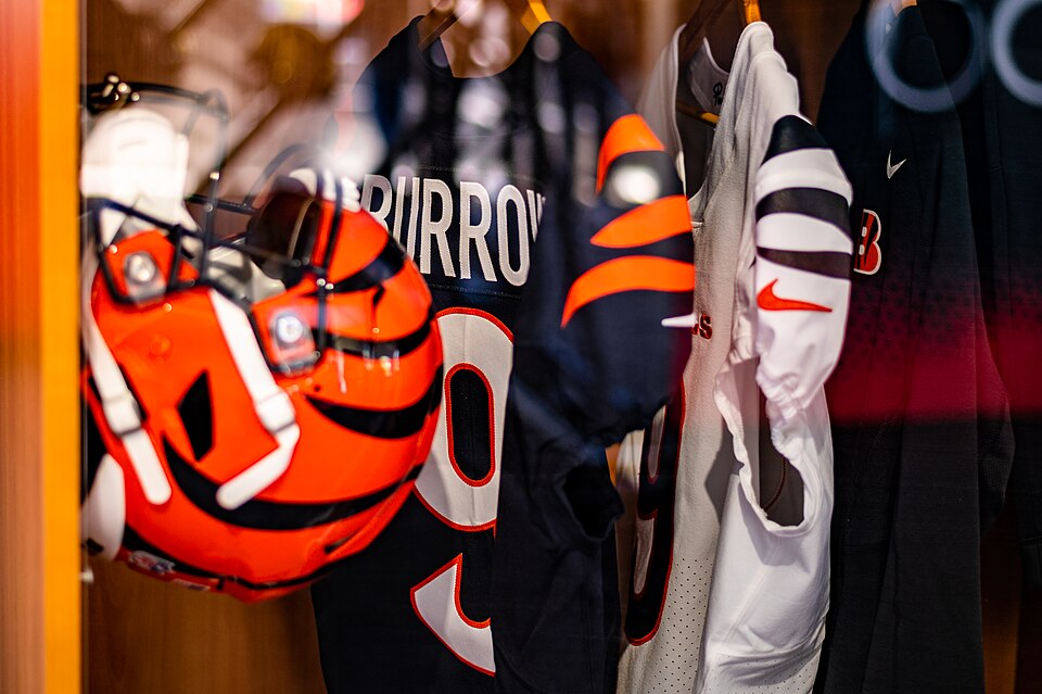 2025 NFL Season Preview: Cincinnati Bengals