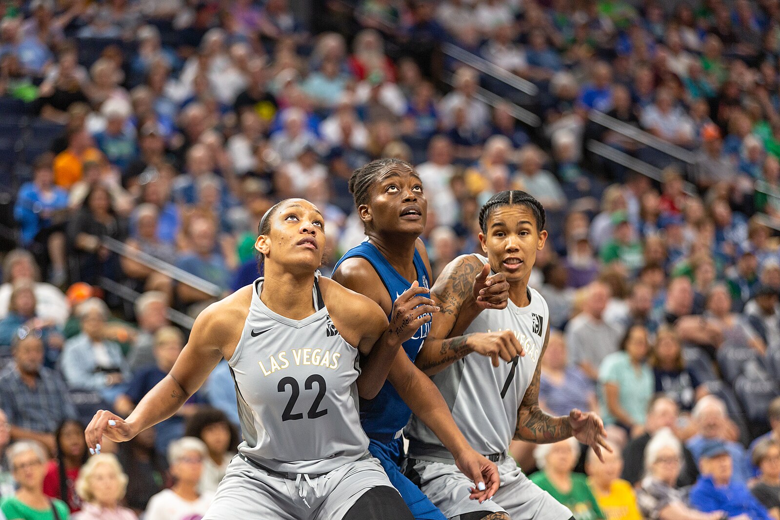 A'ja Wilson Posts 30 Point 20 Rebound Game