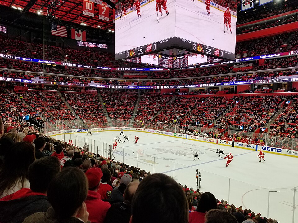 Detroit Red Wings Name Shawn Horcoff Interim GM
